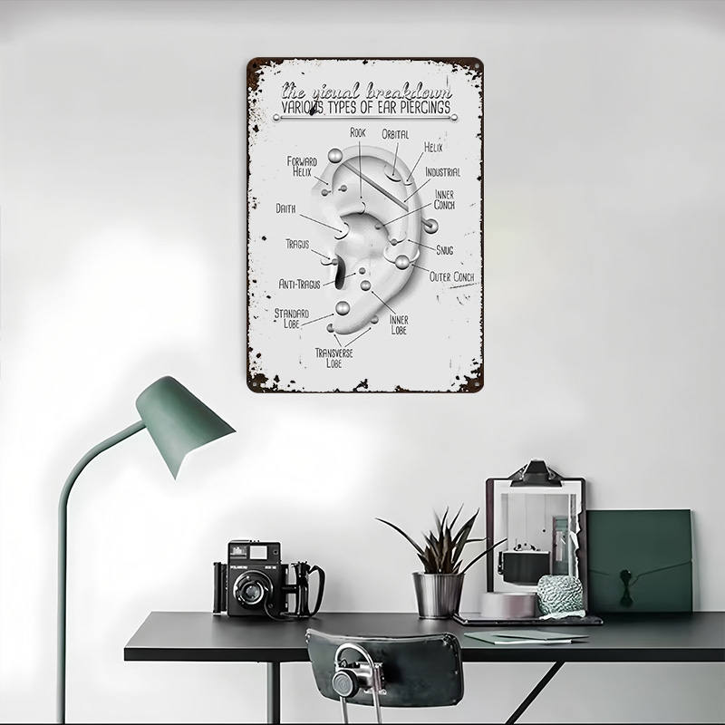 Ear Piercing Chart Metal Poste - đánh giá và giá Desk Setup Poster